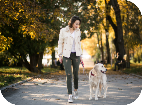 A woman walking her dog down the street